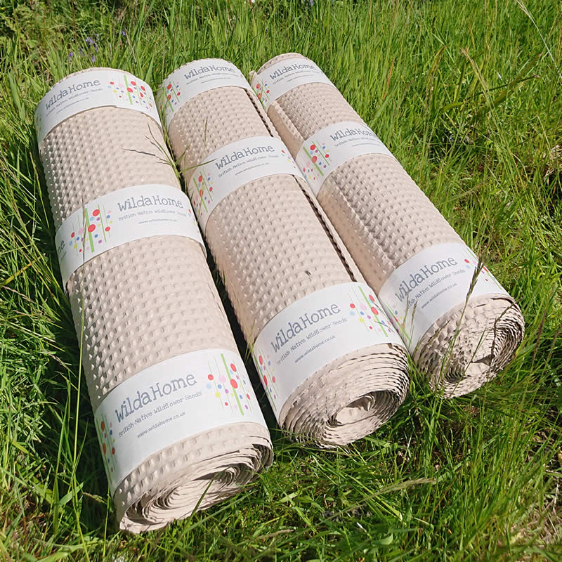 Wildflower Seed Mats