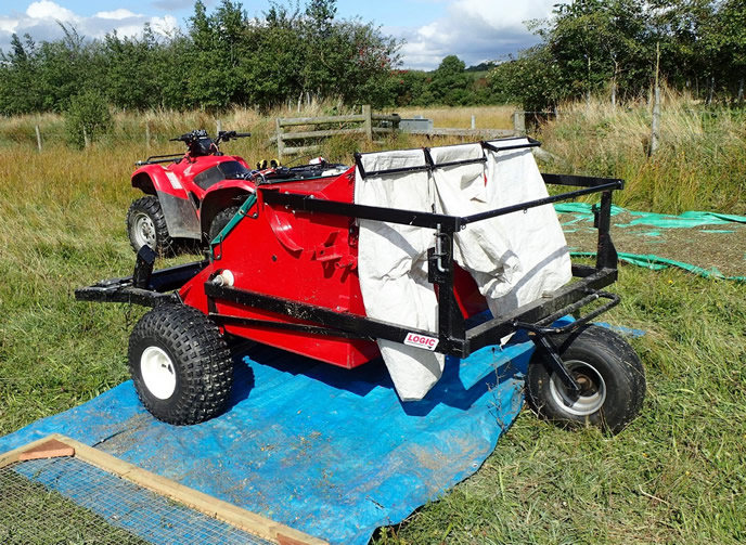 Wildflower Seed Harvesting