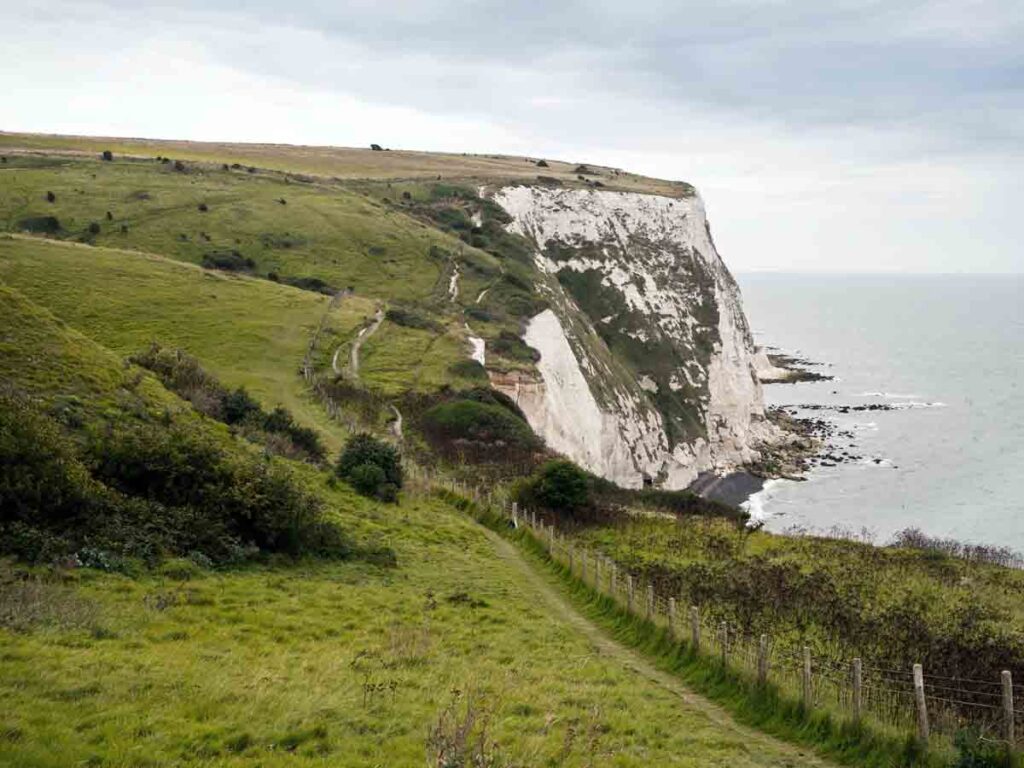 white cliffs of dover kent wildflower seeds