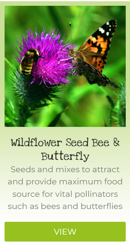 wildflower seed bee & butterfly