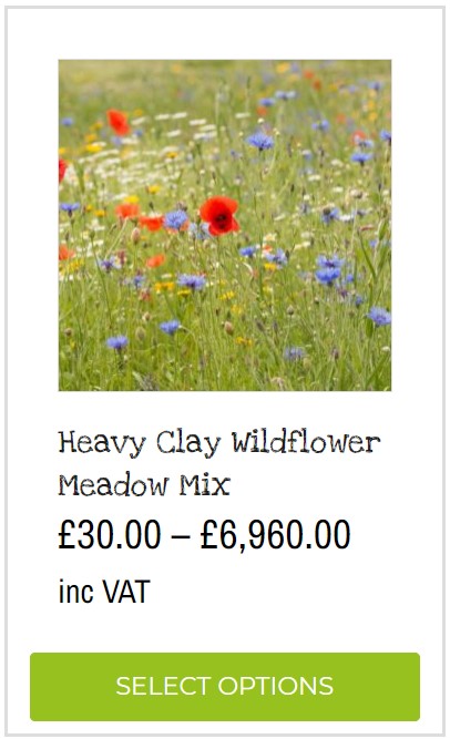 heavy clay wildflower mix wildflower seeds for heavy clay soils