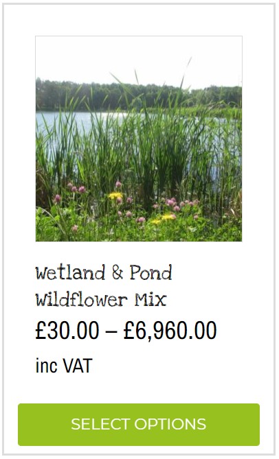 wetland and pond wildflower seed mix wildflower seeds for wetlands