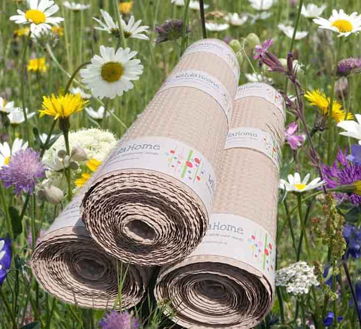 hedgerow & banks wilflower seed mat