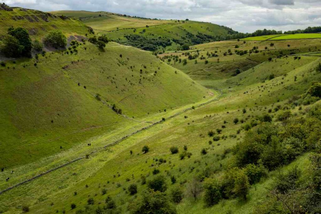 derbyshire wildflower meadows crossbrook dale