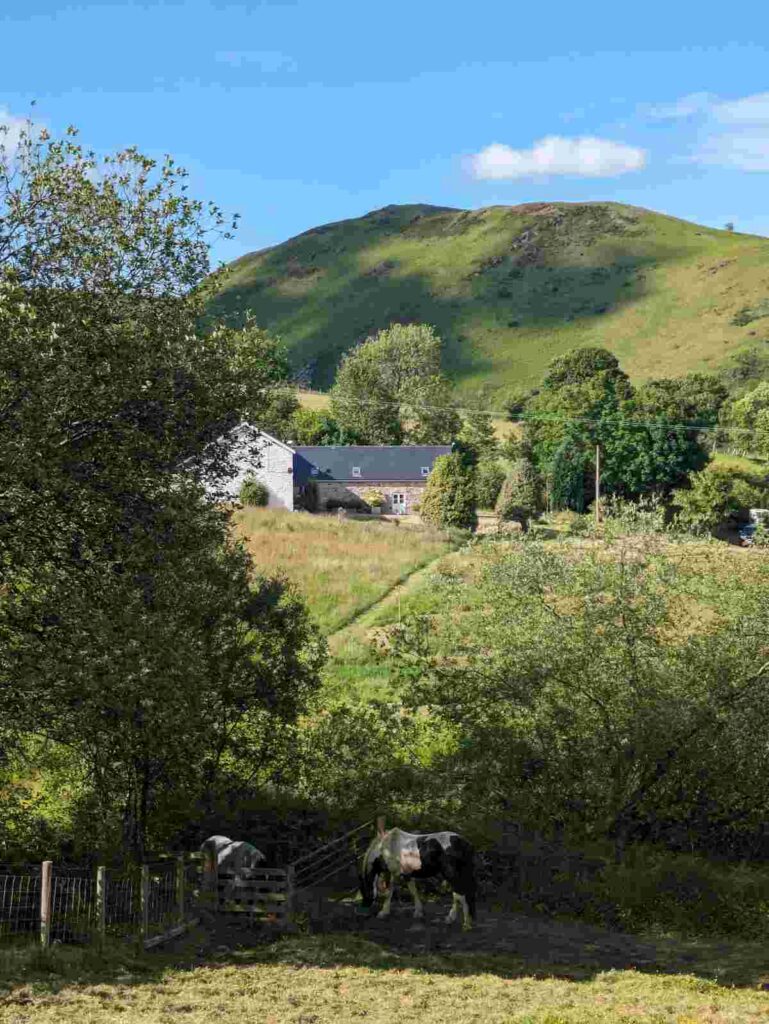 graig fawr farm holidays mid wales
