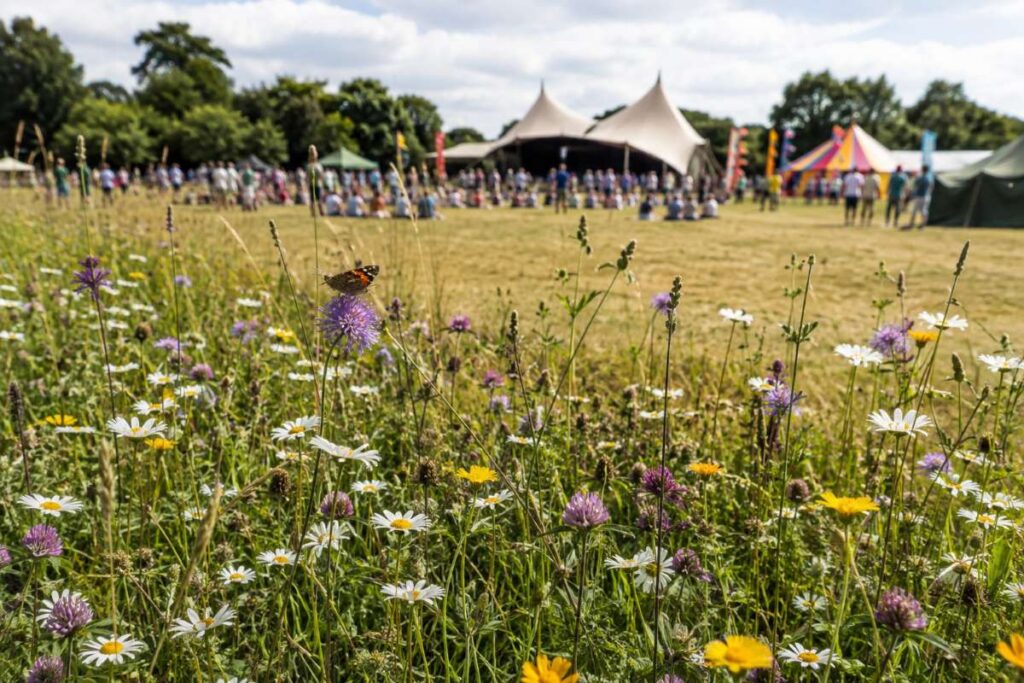 nature friendly festival sites biodiversity wildflowers