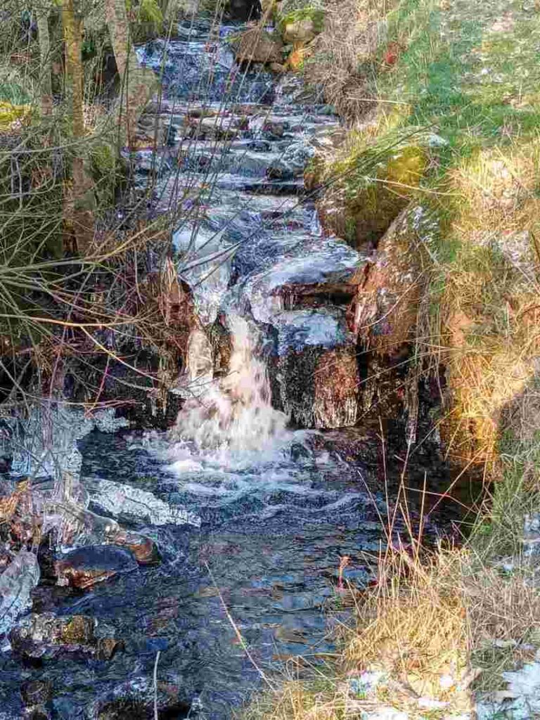 rural holidays mid wales nature holidays