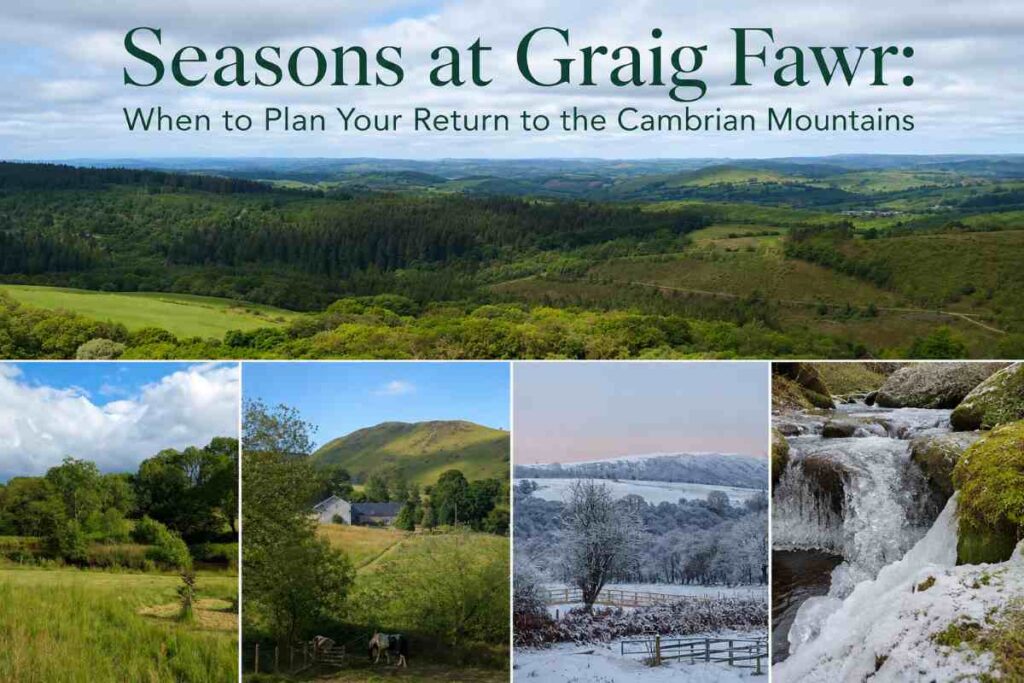 seasons at graig fawr when to plan your return stay