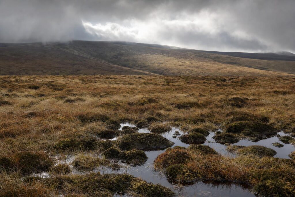 Open upland ridges of the Cambrian Mountains in Mid Wales under low autumn cloud, with rough grass and peat in the foreground.