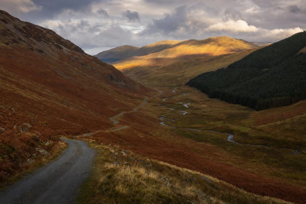 A narrow single-track mountain road winding through an autumn valley in the Cambrian Mountains.