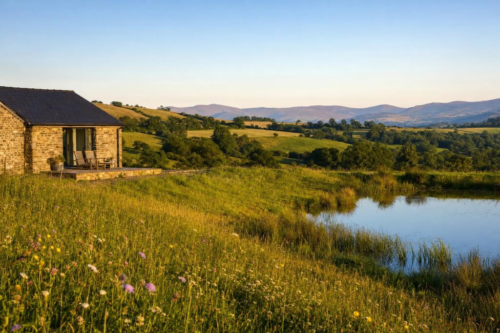 Stone holiday cottage above a wildflower meadow in the Mid Wales hills on a July evening.