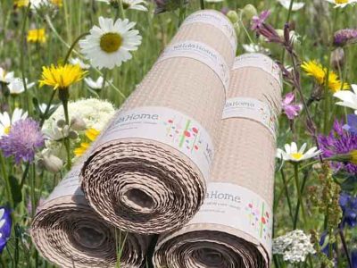 hedgerow & banks wilflower seed mat