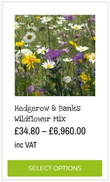 hedgerow and banks wildflower seed mix