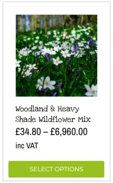 woodland and heavy shade wildflower seed mix